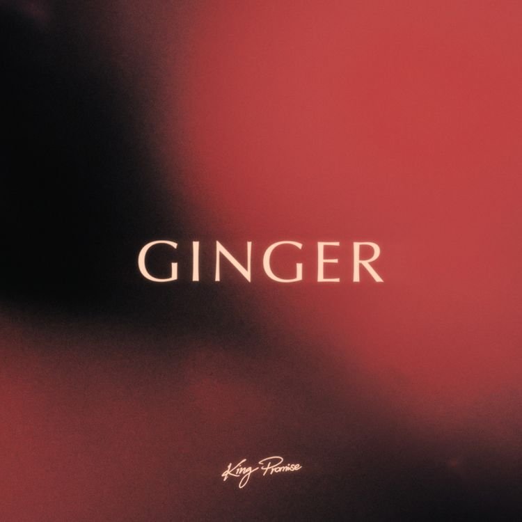 King Promise – Ginger