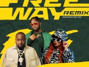 Tripsy, Lady Du, Davido & Nektunez – Freeway (Remix) Ft. DJ Pee Raven