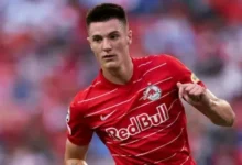 Benjamin Sesko bio 390x220 1