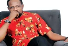 Dickson Iroegbu picture 1 1 390x220 1