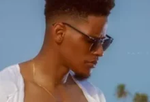 Elo 536x420 2 390x220 1