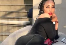 Khanyi 597x420 1 390x220 1