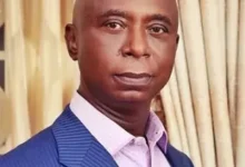 Ned Nwoko Biography, Age ,Net Worth, Wiki, Real Name, Children, Instagram, Parents, partner 1 Ned Nwoko picture 390x220 1