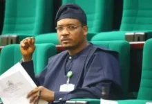 Shina Peller 390x220 1