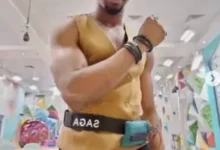 saga 347x420 1 347x220 1